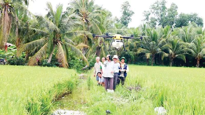 Thúc đẩy chuyển đổi xanh trong nông nghiệp ĐBSCL