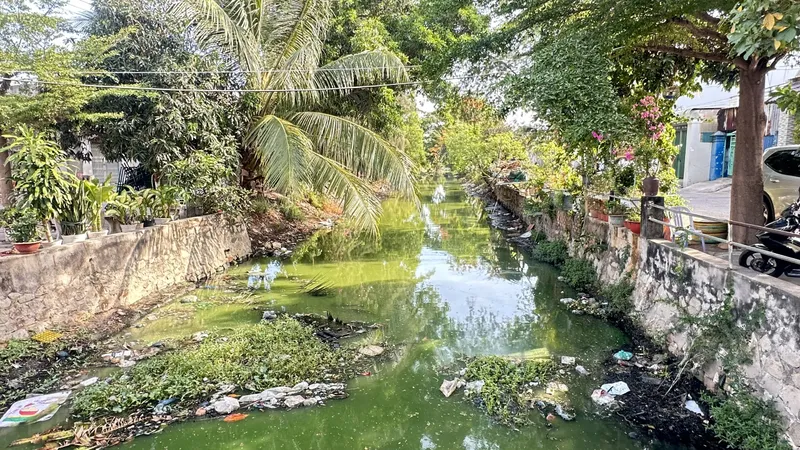 Kênh thoát nước ô nhiễm