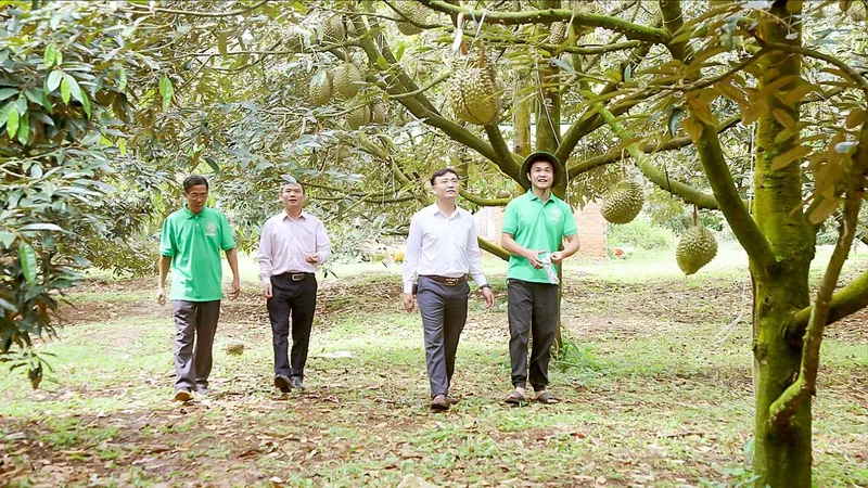 Nông dân bước vào kỷ nguyên số - Bài 1: Từ thửa ruộng đến không gian số