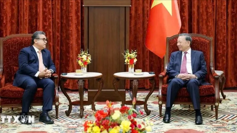 Tổng Bí thư, Chủ tịch nước Tô Lâm đã tiếp Đại sứ Nhà nước Palestine Saadi Salama ngày 25-6. Ảnh: TTXVN.