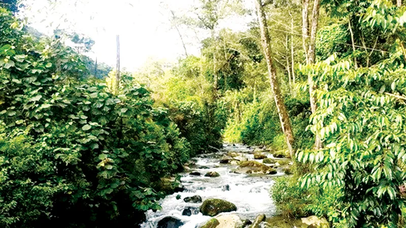UNESCO công nhận khu dự trữ sinh quyển mới tại Costa Rica
