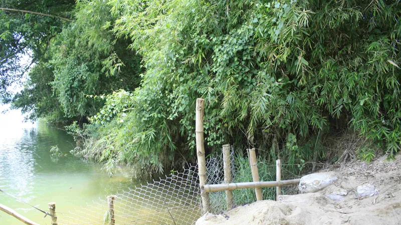 Sông Vệ ăn sâu uy hiếp khu dân cư của 36 hộ .Ảnh:Nguyễn Trang