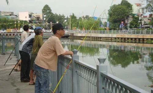 Khảo sát quản lý trật tự đô thị tại quận 3