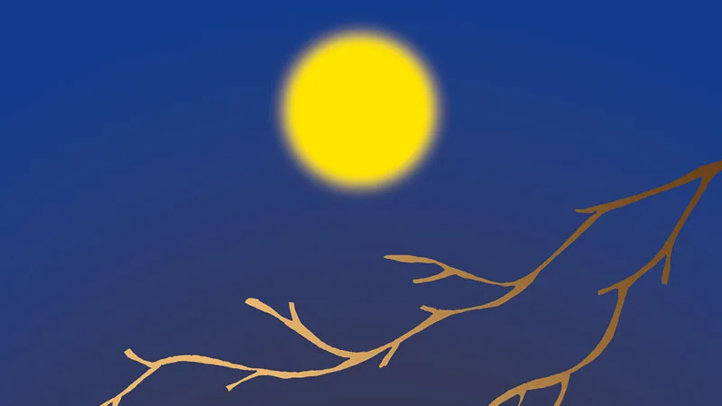 Đi ngang bóng mình