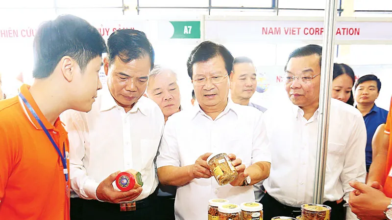 Phó Thủ tướng Trịnh Đình Dũng thăm các gian hàng tại Hội chợ cá tra và các sản phẩm thủy sản Việt Nam