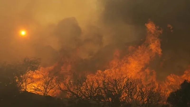 Đám cháy lan rộng tại nhiều nơi ở California. Ảnh: Reuters