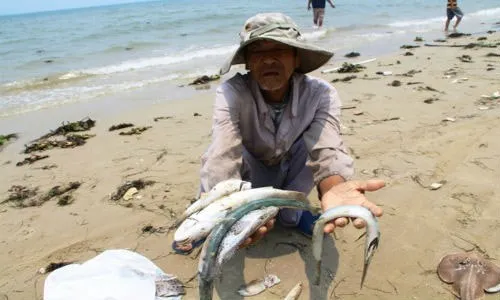 Thêm thời gian hỗ trợ khắc phục sự cố môi trường biển