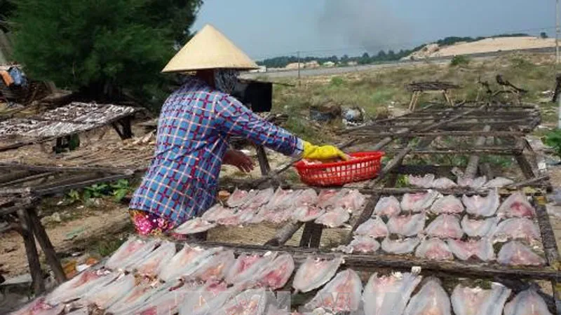 Phạt nặng các cơ sở sử dụng chất cấm trong sản xuất thủy sản khô