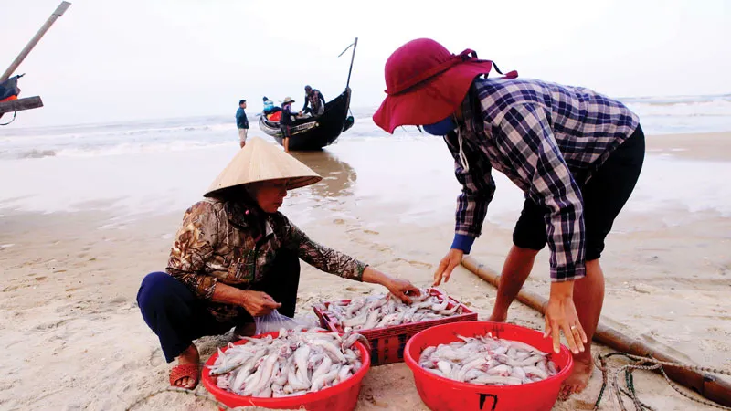 Ngư dân Thừa Thiên - Huế vươn khơi chuyến biển đầu năm Mậu Tuất trúng đậm cá khoai