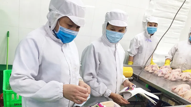 Doanh nghiệp ngành chế biến lương thực - thực phẩm phát triển sản phẩm mới