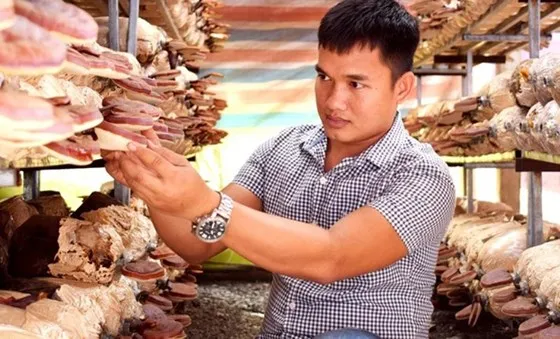 Hỗ trợ tối đa cho thanh niên khởi nghiệp sáng tạo