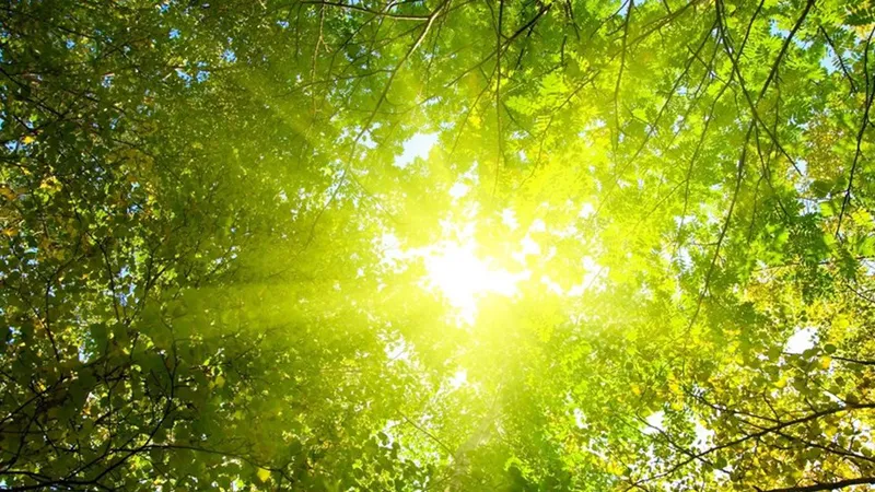 Thời tiết cả nước ngày Giỗ Tổ Hùng Vương