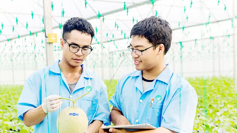 Ứng dụng công nghệ vào sản xuất nông nghiệp