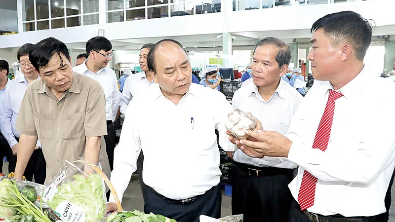 Gỡ vướng mắc, thúc đẩy đầu tư vào nông nghiệp