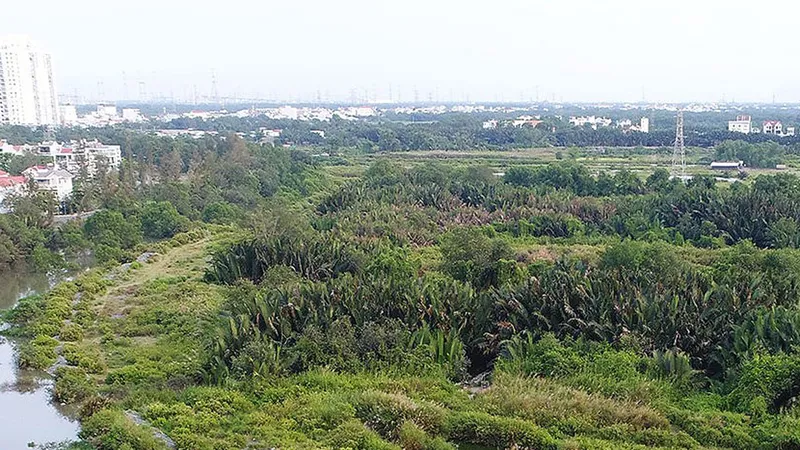 TPHCM xử lý sau thanh tra về đất đai