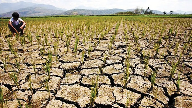 Cảnh báo El Nino xuất hiện vào cuối năm nay