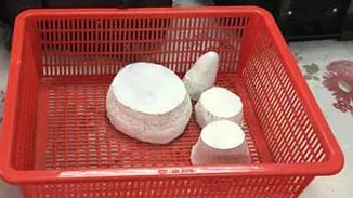 Phát hiện 34kg sừng tê giác vận chuyển qua đường hàng không