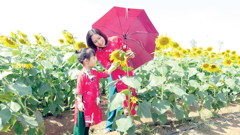 Hoạt động giải trí nhộn nhịp ngày đầu năm