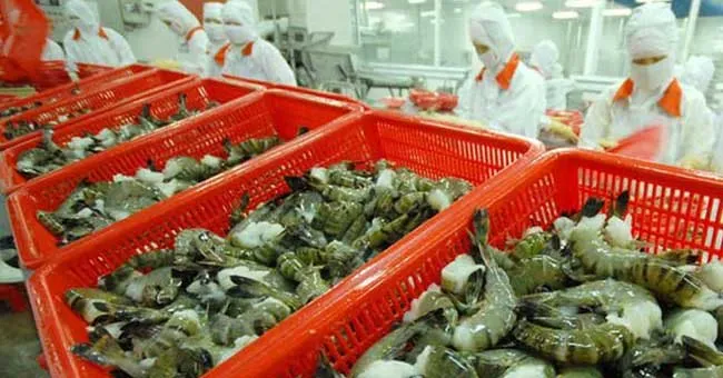 Năm 2019, xuất khẩu tôm ước đạt 4 tỷ USD