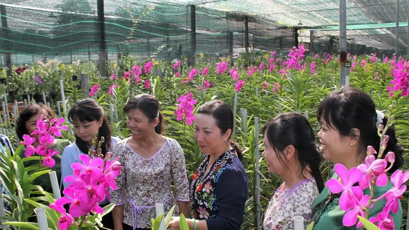 Rực rỡ sắc màu tại Festival Hoa lan TPHCM