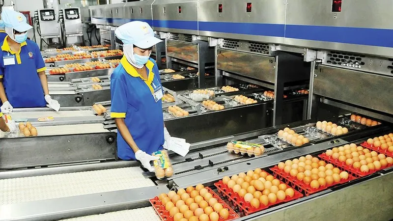 Sản xuất công nghiệp và bán lẻ của TPHCM tăng 