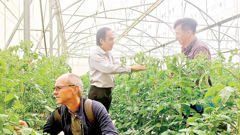 Các chuyên gia lấy mẫu bệnh tại Khu Đất Mới, phường7, TP Đà Lạt