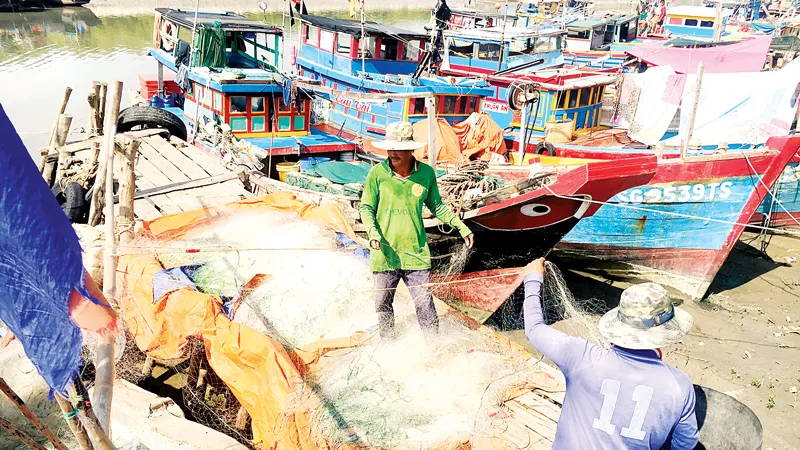 Ngư dân huyện Cần Giờ (TPHCM) khẩn trương thu dọn lưới để tránh bão. Ảnh: THANH HẢI