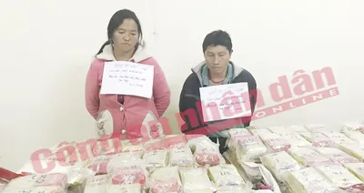 Triệt phá vụ vận chuyển ma túy có giá trị tới 3 triệu USD
