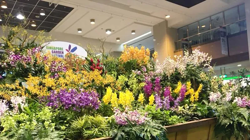 Bồn hoa lớn nhất thế giới