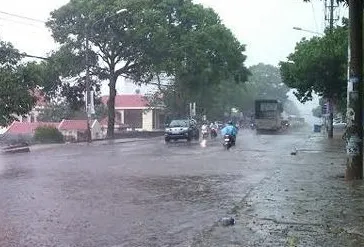 Thừa Thiên - Huế: Xuất hiện trận “mưa vàng” giải hạn