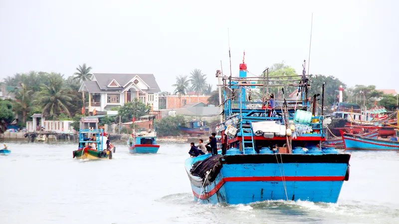Đội tàu của “cọp biển” Gành Cả ra khơi