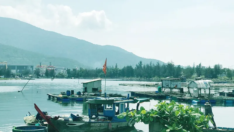 Các lồng bè tự phát, đầu ra bấp bênh, gây ô nhiễm môi trường