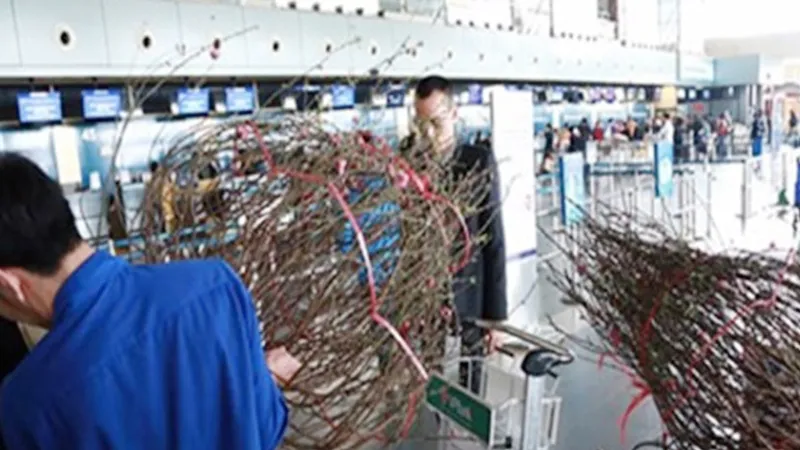 Các hãng hàng không nhận vận chuyển hoa tết
