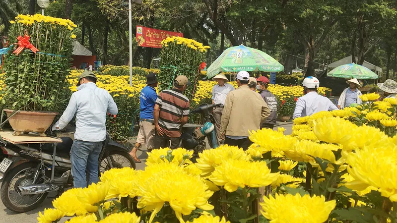 Khách chọn mua hoa chiều 28-1 tại công viên Gia Định