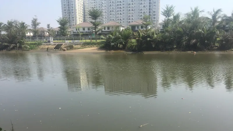 Khu vực nơi xảy ra vụ việc. 