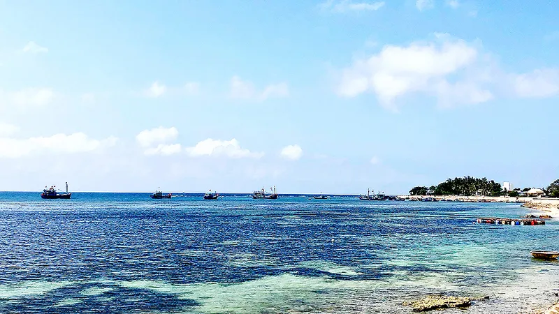 Vị trí dự kiến triển khai dự án khu đô thị thương mại dịch vụ The Sea Eyes