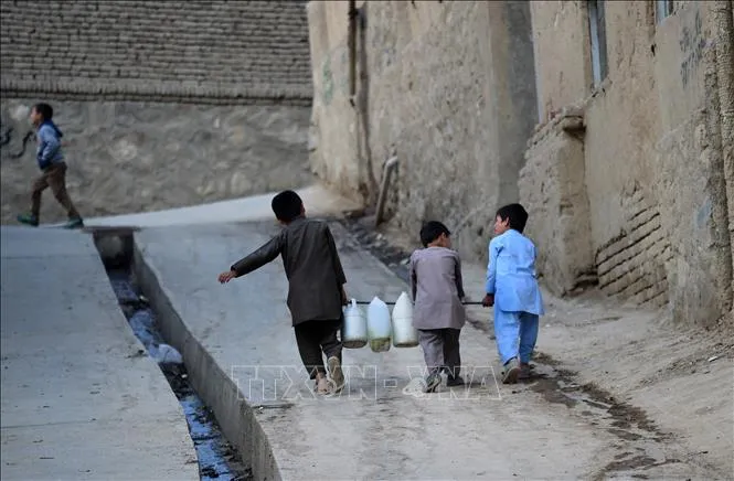 Sống sót ở Kabul
