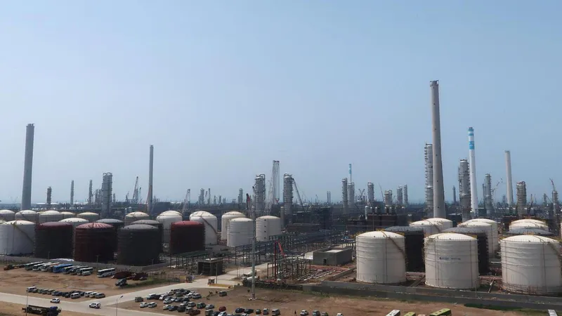 Nhiên liệu sinh học cho máy bay