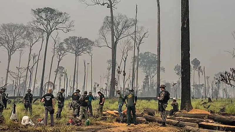Brazil sẽ thuê các lực lượng cảnh sát môi trường để giám sát các đám cháy ở rừng Amazon