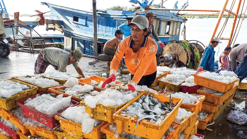 Thủy sản tại cảng Cát Lở (phường 11, TP Vũng Tàu) ​