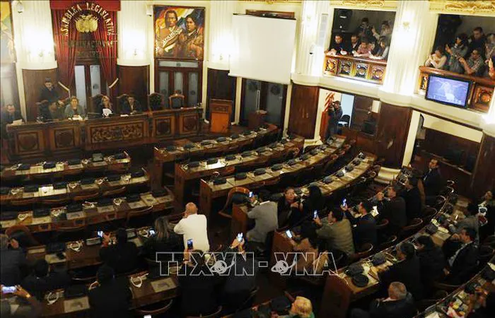 Bolivia: Chuẩn bị cuộc tổng tuyển cử mới