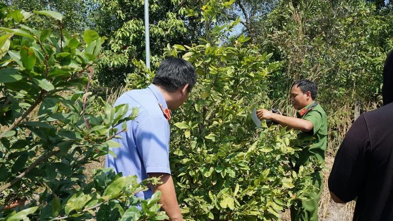 Công an TX.Bến Cát kết hợp với chính quyền địa phương điều tra làm rõ vụ việc. Ảnh: Báo Bình Dương