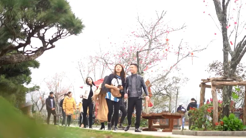 Fansipan mùa hoa nở trong mây