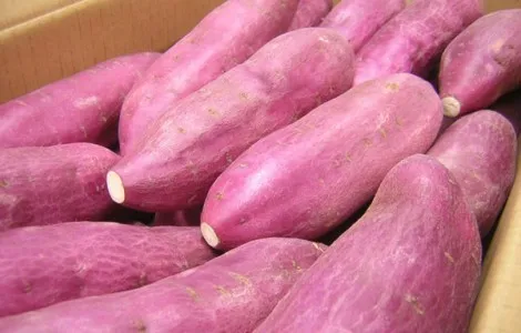 Từ chuyện củ khoai lang 