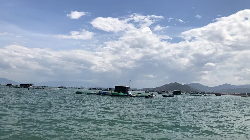 Phát triển nghề nuôi thủy sản trên biển Khánh Hòa