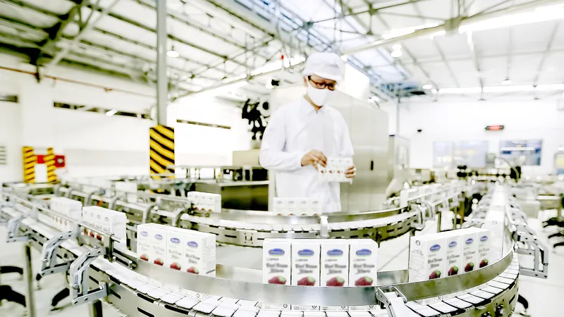 Sản phẩm sữa Việt Nam của Công ty Cổ phần sữa Việt Nam (Vinamilk) xuất khẩu ra nhiều thị trường khó tính trên thế giới