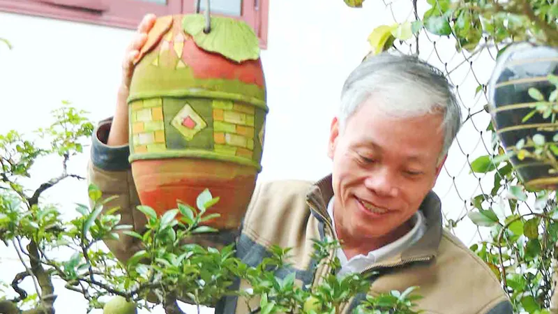 Kỳ vọng cây độc lạ đón tết
