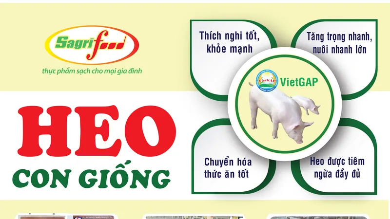 Chọn con giống tốt giảm thiểu rủi ro từ đơn vị lâu năm