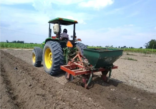 Nghịch lý giá mua tăng - diện tích mía vẫn giảm - Bài 2: Cần tiếp sức từ các chính sách phù hợp