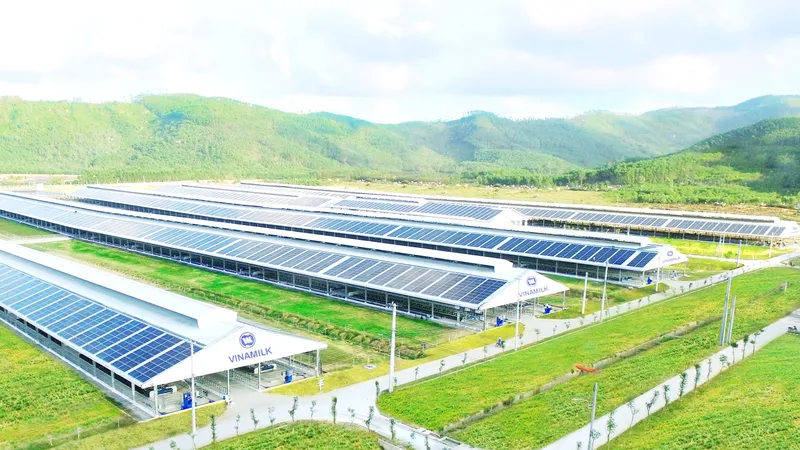 Nhiều doanh nghiệp xoay trở tìm nguyên liệu